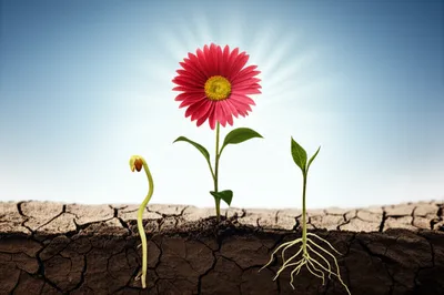 Illustration goest - Image 1