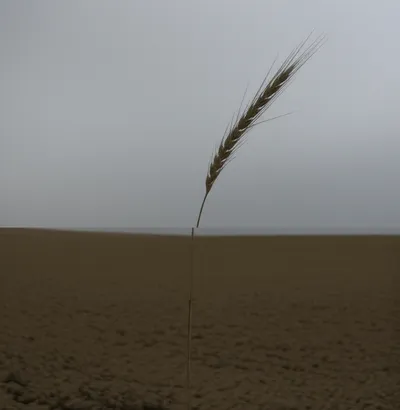 Illustration meager - Image 1