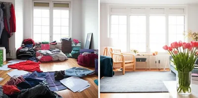 Illustration spruce - Image 1