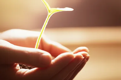 Illustration cherishes - Image 1