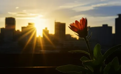 Illustration broke - Image 1