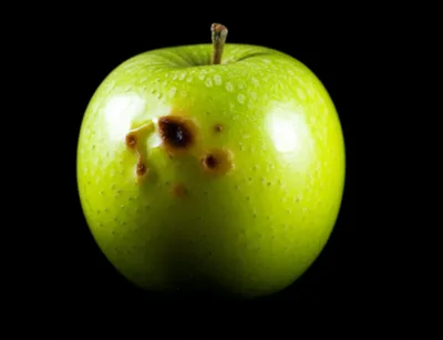 Illustration waste - Image 1