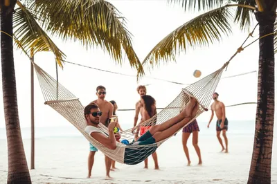 Illustration hosel - Image 1