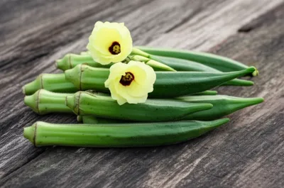 Illustration courgettes - Image 1