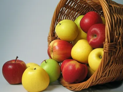 Illustration frail - Image 1