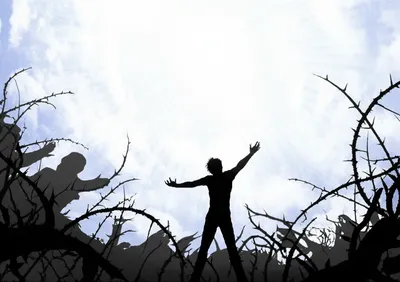 Illustration saved - Image 1