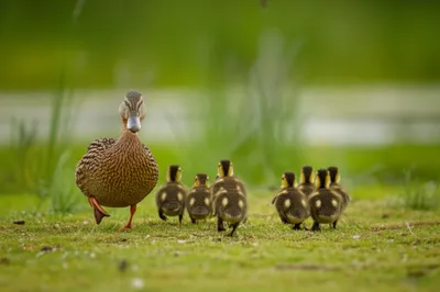 Illustration tagging - Image 1