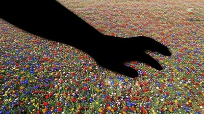 Illustration crush - Image 1