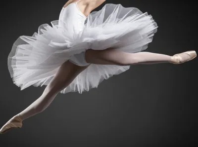 Illustration tutu - Image 1