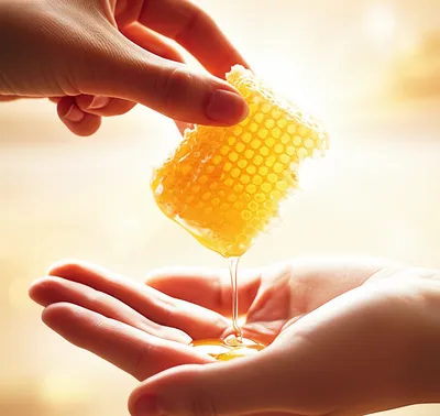 Illustration sugar - Image 1