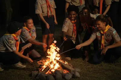 Illustration pack - Image 1