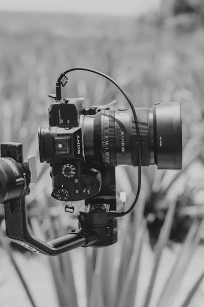 Illustration gimbals - Image 2