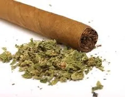 Illustration blunt - Image 2