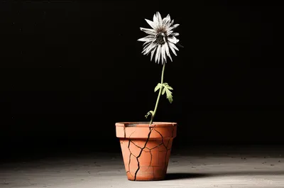 Illustration uninformed - Image 1