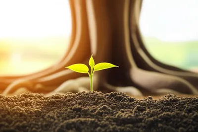 Illustration patience