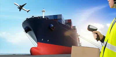 Hình ảnh minh họa consign - Ảnh 1