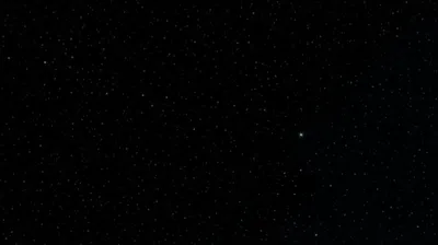 Illustration moths - Image 1