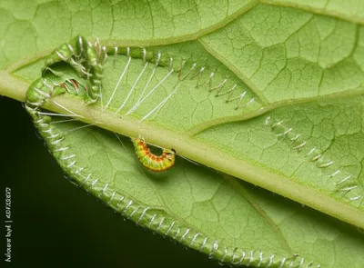 Illustration sewers - Image 1