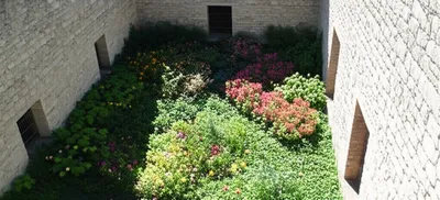 Illustration cloistered - Image 1