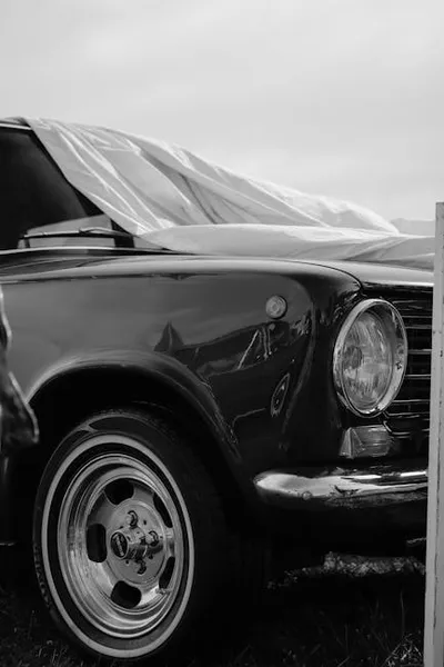 Illustration unveiled - Image 2