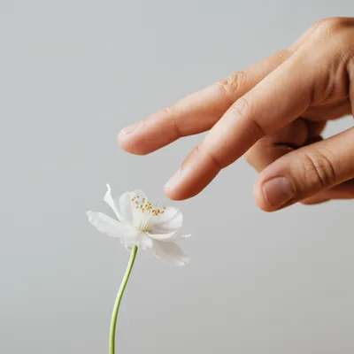 Illustration offense