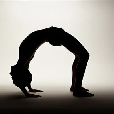 Illustration arching - Image 1