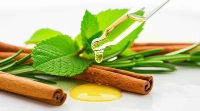 Illustration essences - Image 1