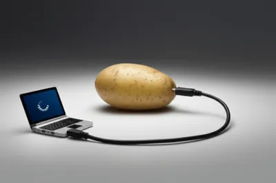 Illustration potatoes - Image 1