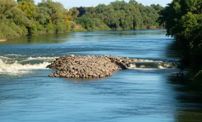 Illustration shunt - Image 1