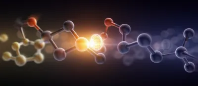 Illustration carrier - Image 1