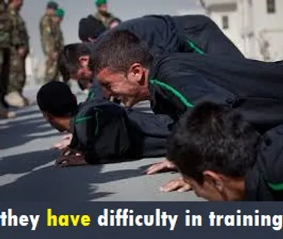 Illustration have - Image 4