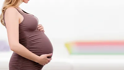 Illustration showed - Image 1