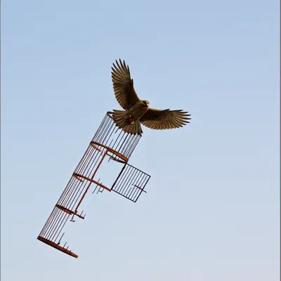 Illustration unblocked - Image 1