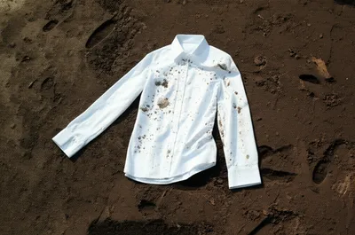 Illustration soils - Image 1