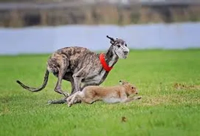 Illustration course - Image 4