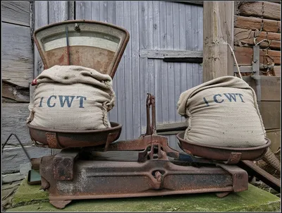 Hình ảnh minh họa wey - Ảnh 1