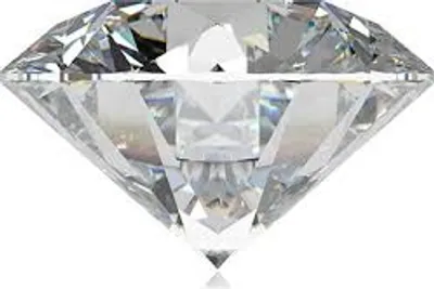 Illustration native - Image 2