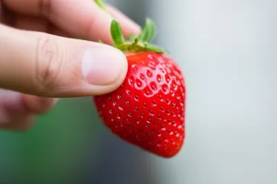 Illustration plucking