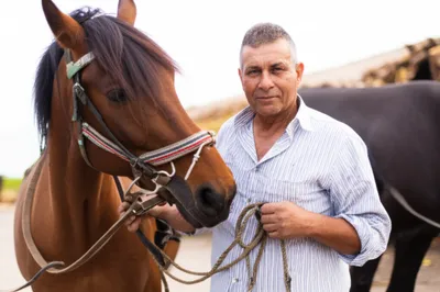 Illustration knacker - Image 1