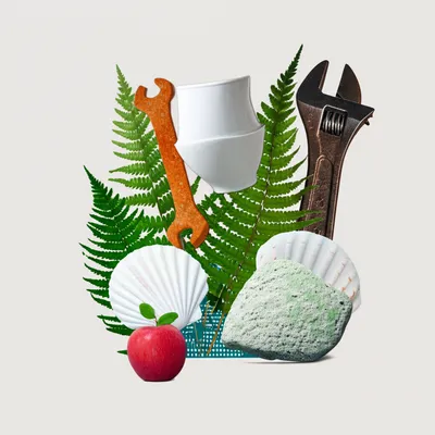 Illustration disparate