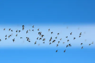 Illustration corridors - Image 1