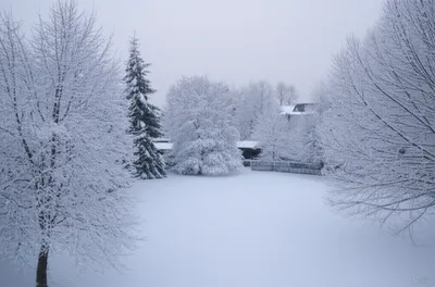 Illustration dusting - Image 1