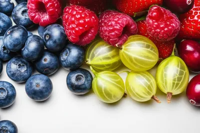 Illustration berries