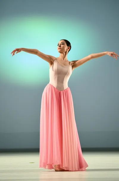 Illustration elegance