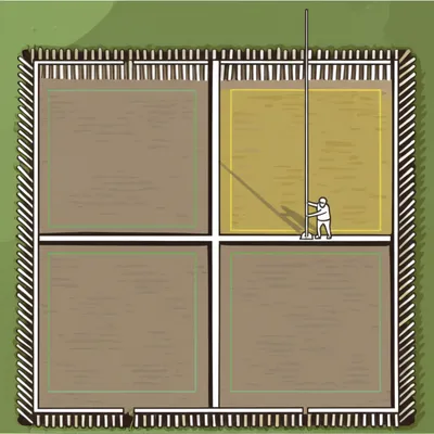 Illustration perches - Image 1