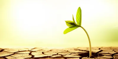 Illustration arising