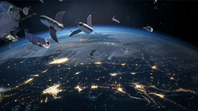 Illustration birds - Image 1