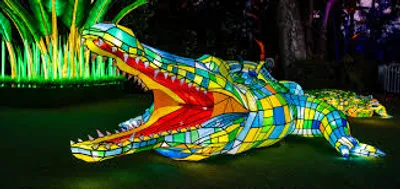 Illustration fluorescent - Image 2