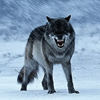 Illustration savage - Image 1