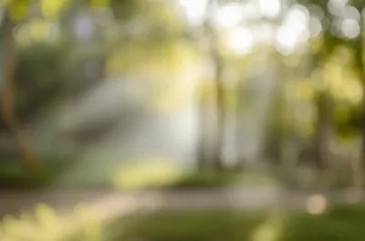 Illustration gauzy - Image 1